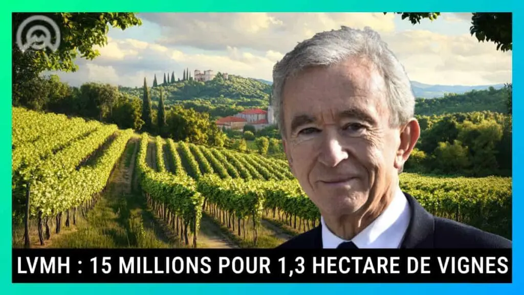 LVMH rachete les vignes de bourgogne