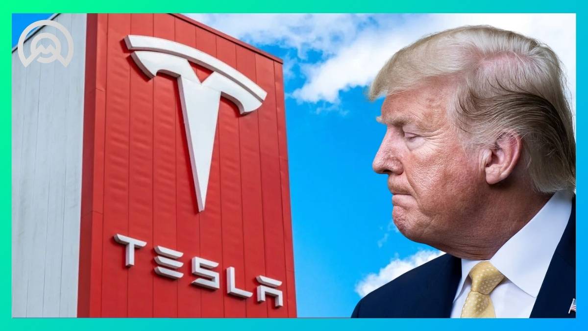 Tesla écrit à Trump