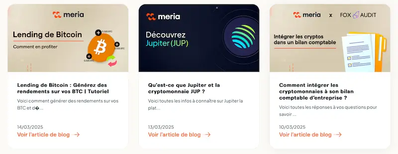 autres exemples meria academy