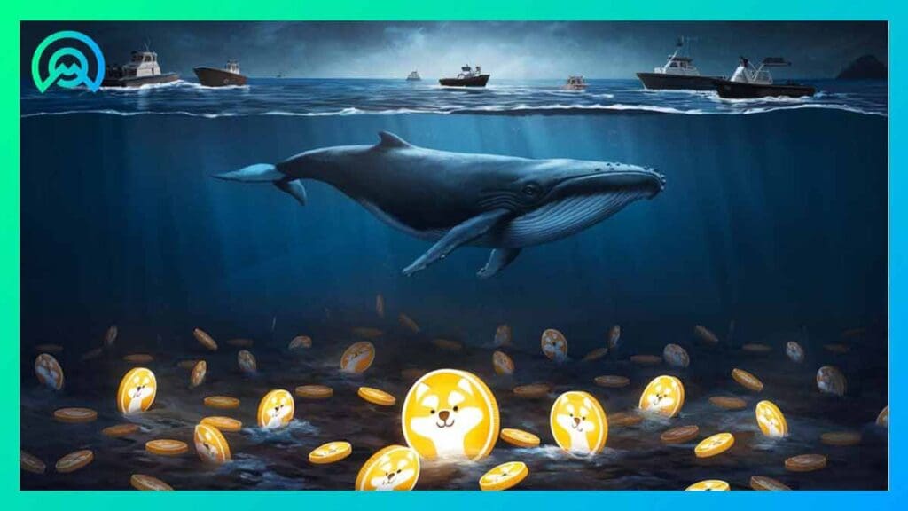 Shiba-Inu-baleines-crypto