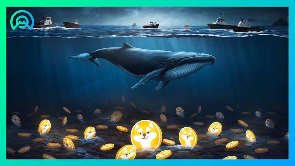 Shiba-Inu-baleines-crypto